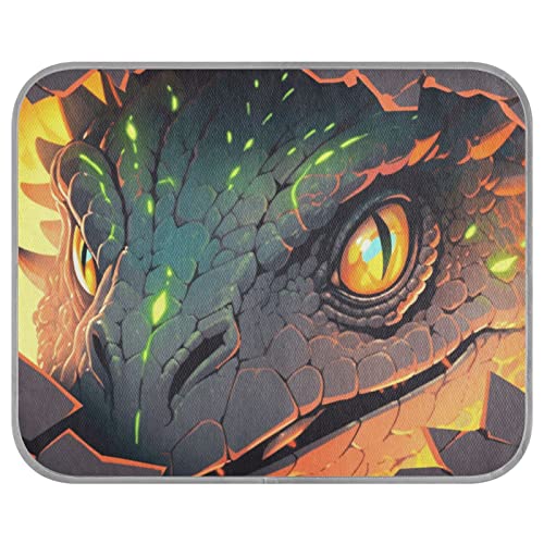 FRODOTGV Ferocious Dinosaurier-Hundekäfig Pad Sommer Wiederverwendbare Kühlmatte Katzen Zwinger Kühlende Isomatte Cool Bed Mats,Small von FRODOTGV