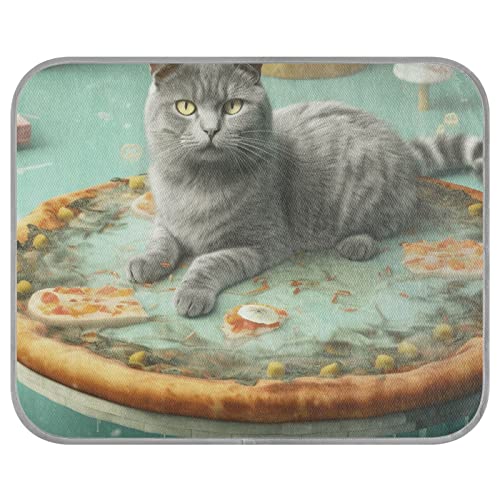 FRODOTGV Katze, die auf einer schwimmenden Pizza auf dem Wasser liegt, kühlende Haustierdecke, Sommer, waschbar, Eiskühlkissen, Tiere, Haustiere, Kühlmatte, kühlende Schlafmatte, klein von FRODOTGV