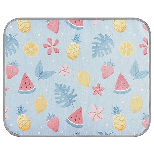 FRODOTGV Niedliche Wassermelone Ananas Zitronenblätter Haustier Coole Decke für Hunde/Katzen, Coole Bettmatten Waschbar Zwinger Haustiere Ice Cool Pads Hundekäfig Pad, Klein von FRODOTGV