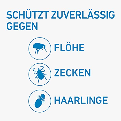 FRONTLINE Spot ON Hund L gegen Zecken, Flöhe & Haarlinge (große Hunde 20 bis 40 kg) - 3X Pipetten für bis zu 3 Monate Schutz - wasserfest von FRONTLINE