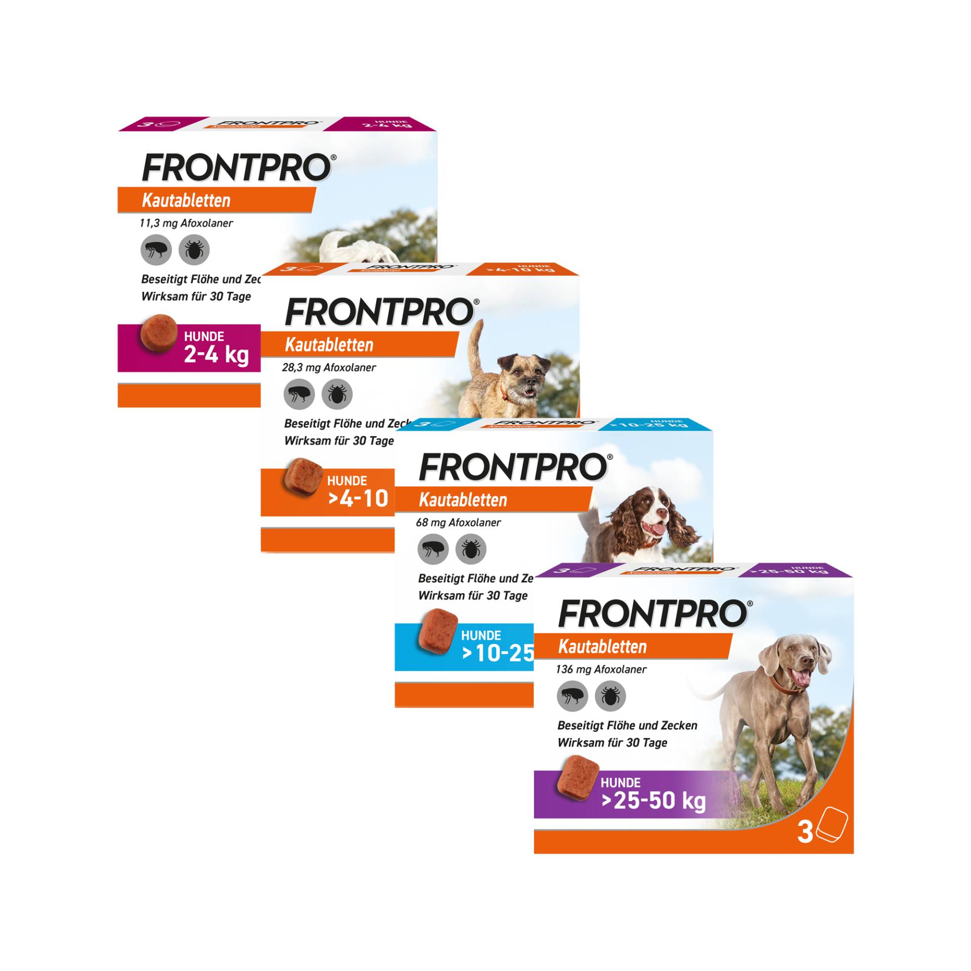 FRONTPRO L - 10-25 kg - 2 x 3 Tabletten von FRONTPRO,Frontline