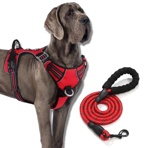 FSFFEVER Bequemes Hundegeschirr und Leine, Set, kein Ziehen, kein Würgen, Hunde-Brustgeschirr mit Leine, verstellbare Outdoor-Haustierweste, 3M, reflektierendes Oxford-Material, weich gepolstert für von FSFFEVER