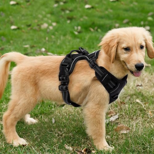 FSROOMZ Hundegeschirr Anti Zieh für Kleine und mittelgroße Hunde, Anti Zug Welpen Sicherheitsgeschir No Pull Dog Harness, Weich, Gepolstert, verstellbar, Atmungsaktiv, Reflexstreifen Brustgeschirr (S) von FSROOMZ