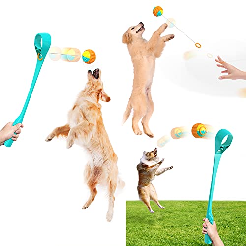 FTRONGRT Hundespielzeug, Einziehbarer Ringseilball, Ballwerfer, Multifunktions-Wurfstock, Interaktives Haustierspielzeug,Molarenkugel.Bauer See von FTRONGRT