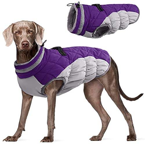 FUAMEY Gepolsterte Weste Hundejacke – Reflektierender Hund Wintermantel Winddicht Warme Winter Hundejacke Bequeme Hundebekleidung für kaltes Wetter – Warm Reißverschluss Hund schneefest Weste für kleine, mittelgroße und große Hunde von FUAMEY