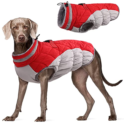 FUAMEY Gepolsterte Weste Hundejacke – Reflektierender Hund Wintermantel Winddicht Warme Winter Hundejacke Bequeme Hundebekleidung für kaltes Wetter – Warm Reißverschluss Hund schneefest Weste für von FUAMEY