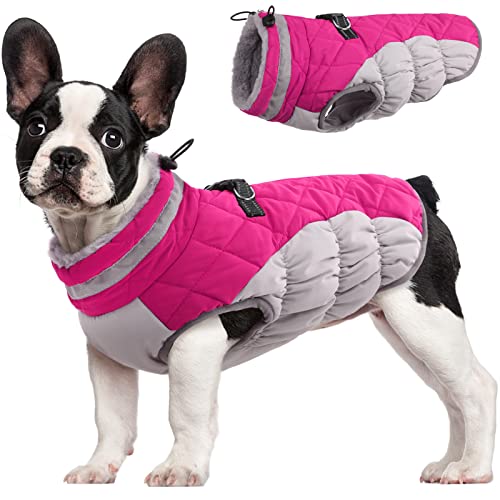 FUAMEY Hundemantel, warme Hundejacke, Wintermantel, gepolsterte Fleece-Weste, reflektierend, für kaltes Wetter, mit integriertem Geschirr, wasserdicht, winddicht, mit Reißverschluss, Rosenrot, Größe M von FUAMEY