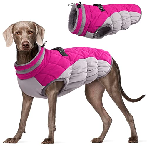 FUAMEY Warme Hundejacke, Wintermantel mit gepolstertem Fleece, reflektierender Weste, integriertem Geschirr, wasserdichte winddichte Schneejacke, Rosenrot, XXXL von FUAMEY