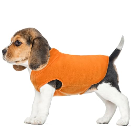 FUAMEY Hunde-Fleeceweste, warmes Sweatshirt für Welpen, dehnbarer Pullover, Rollkragenmantel, Winterjacke mit Loch für die Leine, Dackelpullover, Yorkie-Kleidung für kleine, mittelgroße und große von FUAMEY