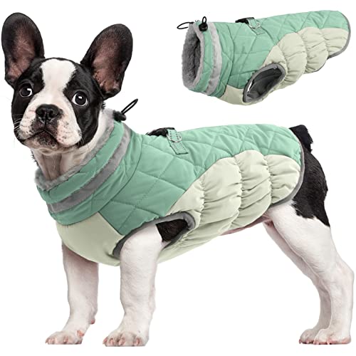 FUAMEY Hunde-Winterjacke, gepolsterte Hundeweste mit Geschirr, wasserabweisender Mantel für kleine bis große Hunde, Mintgrün, XS von FUAMEY