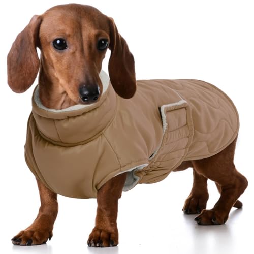 FUAMEY Winter-Hundejacke für extra kleine Hunde, kaltes Wetter, warme Hundejacke, wasserabweisendes Hunde-Outfit, dicker Hunde-Schneeanzug für Yorkshire, Chihuahua, Haustier-Winterkleidung, Khaki, XS von FUAMEY