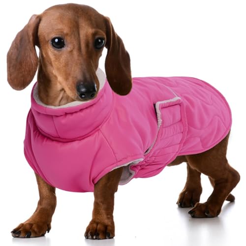 FUAMEY Winter-Hundejacke für kleine Hunde, kaltes Wetter, warme Hundejacke, wasserabweisendes Hunde-Outfit, dicker Hunde-Schneeanzug für Yorkshire, Chihuahua, Haustier-Winterkleidung, Rosenrot, Größe von FUAMEY