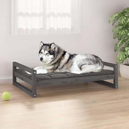 FUDUGEHMIOFWFJJ Hunde Bett,orthopädische hundebetten,Hundebett Grau 105,5x75,5x28 cm Massivholz KieferAdatto a Tutti i Tipi di cani o Gatti di Piccola e Grande Taglia von FUDUGEHMIOFWFJJ