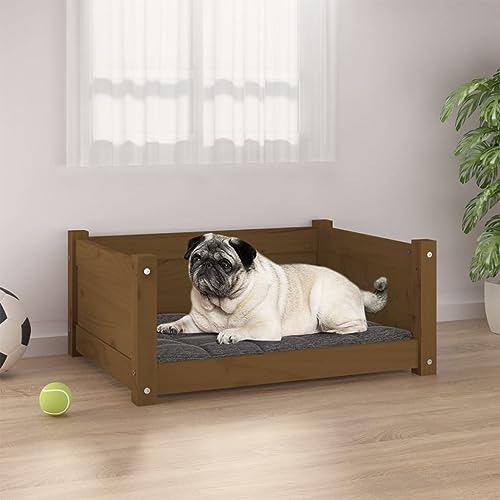 FUDUGEHMIOFWFJJ hundebett,hundebett Grosse Hunde,hundekissen,Hundebett Honigbraun 65,5x50,5x28 cm Massivholz KieferAdatto a Tutti i Tipi di cani o Gatti di Piccola e Grande Taglia von FUDUGEHMIOFWFJJ