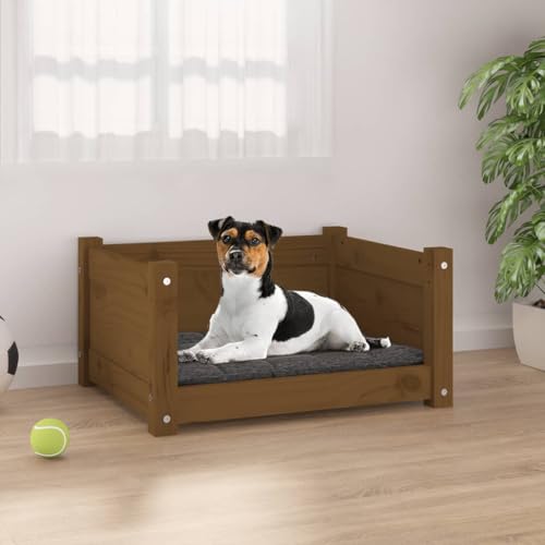 FUDUGEHMIOFWFJJ hundebett mittelgroße Hunde,hundebett abwaschbar,Hundebett Honigbraun 55,5x45,5x28 cm Massivholz KieferAdatto a Tutti i Tipi di cani o Gatti di Piccola e Grande Taglia von FUDUGEHMIOFWFJJ