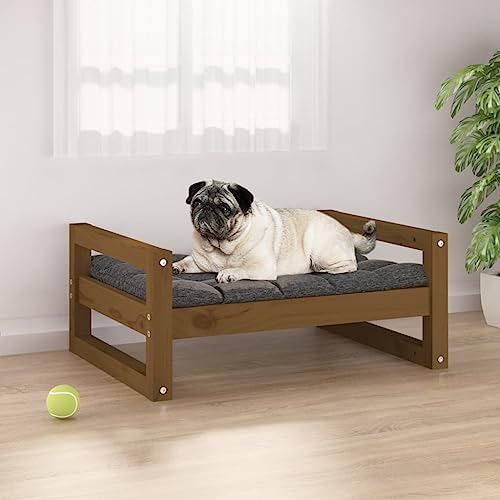 FUDUGEHMIOFWFJJ hundebett mittelgroße Hunde,hundebett abwaschbar,Hundebett Honigbraun 65,5x50,5x28 cm Massivholz KieferAdatto a Tutti i Tipi di cani o Gatti di Piccola e Grande Taglia von FUDUGEHMIOFWFJJ