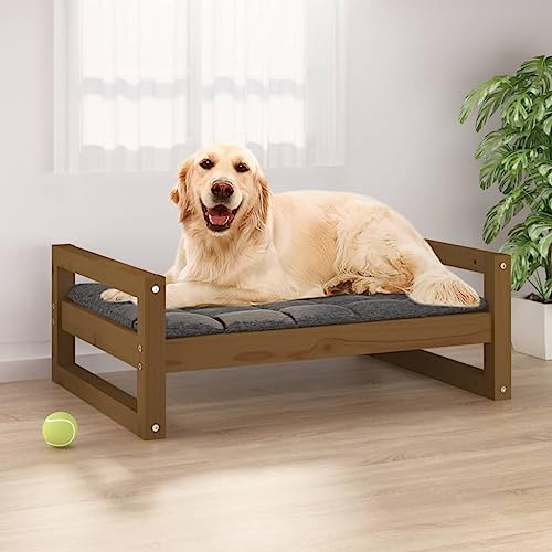 FUDUGEHMIOFWFJJ hundebett mittelgroße Hunde,hundebett abwaschbar,Hundebett Honigbraun 75,5x55,5x28 cm Massivholz KieferAdatto a Tutti i Tipi di cani o Gatti di Piccola e Grande Taglia von FUDUGEHMIOFWFJJ