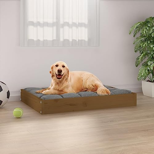 FUDUGEHMIOFWFJJ hundekorb,hundesofa, hundebett,Hundebett Honigbraun 71,5x54x9 cm Massivholz KieferAdatto a Tutti i Tipi di cani o Gatti di Piccola e Grande Taglia von FUDUGEHMIOFWFJJ