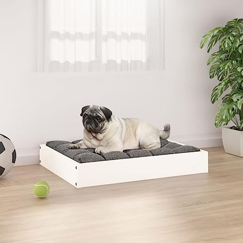 FUDUGEHMIOFWFJJ hundekorb Grosse Hunde,hundesofa für Grosse Hunde,Hundebett Weiß 61,5x49x9 cm Massivholz KieferAdatto a Tutti i Tipi di cani o Gatti di Piccola e Grande Taglia von FUDUGEHMIOFWFJJ