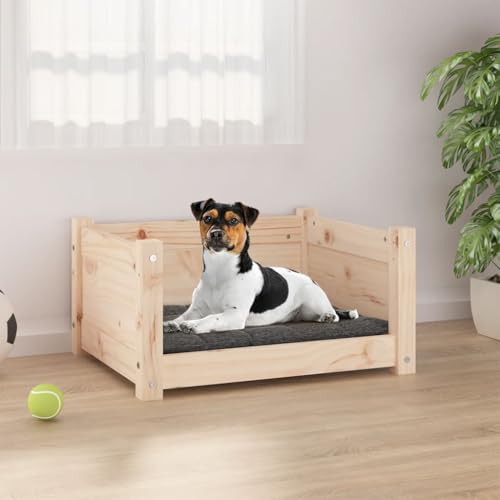 FUDUGEHMIOFWFJJ schlafplätze & möbel für Hunde,hundebett waschbar,Hundebett 55,5x45,5x28 cm Massivholz KieferAdatto a Tutti i Tipi di cani o Gatti di Piccola e Grande Taglia von FUDUGEHMIOFWFJJ