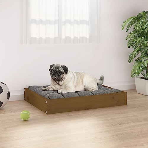 FUDUGEHMIOFWFJJ schlafplätze & möbel für Hunde,hundebett waschbar,Hundebett Honigbraun 61,5x49x9 cm Massivholz KieferAdatto a Tutti i Tipi di cani o Gatti di Piccola e Grande Taglia von FUDUGEHMIOFWFJJ