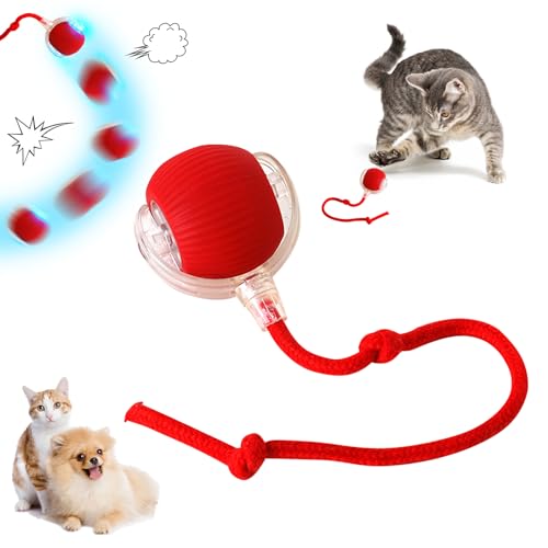 FUFRE Katzenspielzeug Elektrisch, Interaktives Katzenspielzeug Katzenball, 3 Modi Katzenspielzeug, Hundespielzeug Ball Mit Schnur Und USB Aufladbar Für Kleine,Mittlere Hunde/Katzen (Rot*1 Stück) von FUFRE