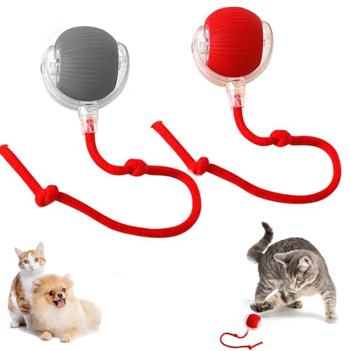 FUFRE Katzenspielzeug Elektrisch, Interaktives Katzenspielzeug Katzenball, 3 Modi Katzenspielzeug, Hundespielzeug Ball Mit Schnur Und USB Aufladbar Für Kleine,Mittlere Hunde/Katzen (Rot + grau) von FUFRE