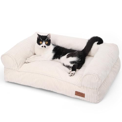 FUKUMARU Katzensofa Bett, Corduroy Gemütliches Katzenbett für drinnen mit abnehmbarem waschbarem Bezug, Stützendes Anti-Rutsch Hundebett Sofa für kleine Hunde, 72 x 52 x 22 cm, Mittel, Creme von FUKUMARU