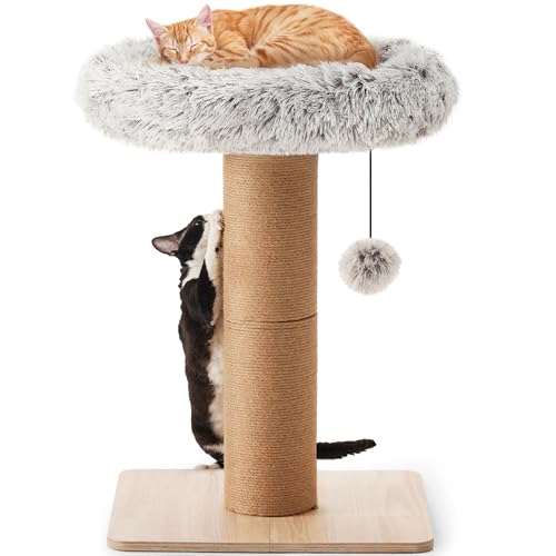 FUKUMARU Kratzbaum für Katzen – 71 cm hoher Kratzturm mit Katzenliege für Erwachsene Katzen im Innenbereich, 14 cm breiter Kleiner Katzenbaum mit Bett, Katzenmöbel für Kätzchen und große Katzen. von FUKUMARU