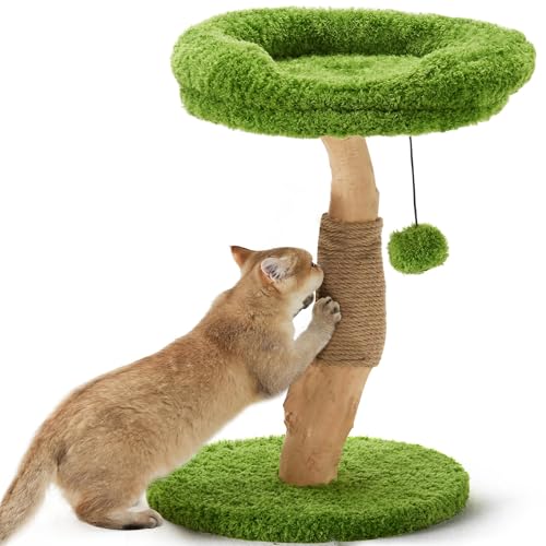 FUKUMARU Kratzbaum Katzen, 51 cm Katzenbaum aus einzigartigem Massivholz, mit Jutesäule und gemütliche Liegefläche, für kleine & große Katzen bis zu 3.3 kg von FUKUMARU