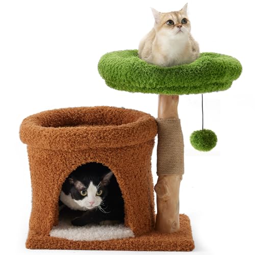 FUKUMARU Kratzbaum Katzen, 51 cm Katzenbaum mit einzigartigem Massivholz, Katzenhaus mit 2 gemütliche Liegefläche & Höhle, Jutesäule & Plüschball inkl,für kleine & große Katzen bis zu 3.3 kg von FUKUMARU