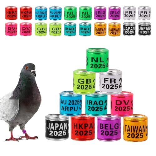 FULAIERGD 100Pcs Multicolor Aluminium Taubenbeinringe Taubenbeinringe Identifizieren Bänder Kunststoff mit 2025 Training Identifizieren Vögel Fußring von FULAIERGD