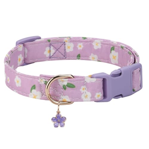 FUNAT Bedrucktes Haustier Halsband, Haustier Halsband Mit Niedlichem AnhäNger für Kleine Und Mittlere Hunde, Verstellbares Hundehalsband und Nackenbezug von FUNAT