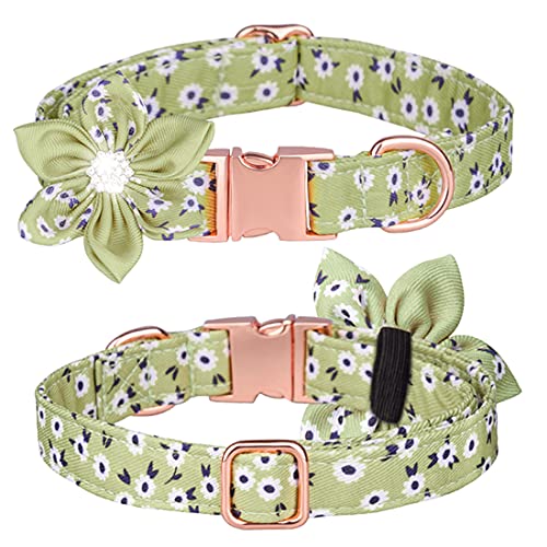 FUNAT Blumenhalsband für Haustiere, Abnehmbares Solar Flower Hundehalsband, Halsband für Hunde und Katzen zum Gravieren, Verstellbares Halsband für Katzen von FUNAT