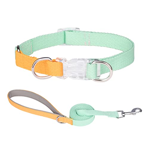 FUNAT Polyester Gurtband Hundehalsband, Kontrasttierhalsband Zugseil-Set für Harness, Einfache und stilvolle Macaron Halsband Geeignet für Katzen Hunde von FUNAT