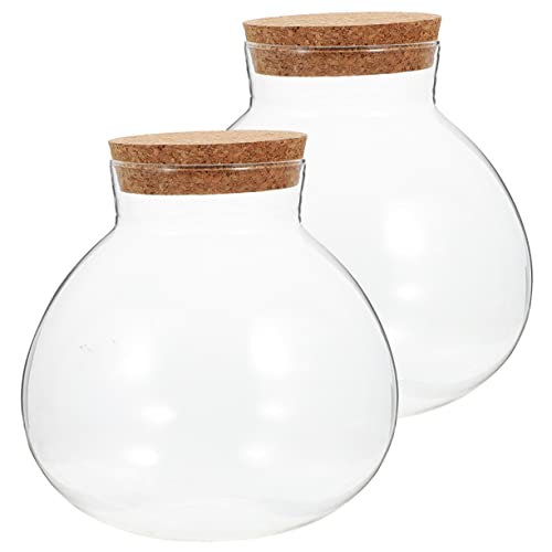 FUNOMOCYA 2 Stück Mikro Landschaftsflasche Moos Landschaftsbehälter Terranium Terrarium Großer Kaktus Terrarium Luftpflanze Rundes Terrarium Nachrichtenflaschenhalter Winzige von FUNOMOCYA