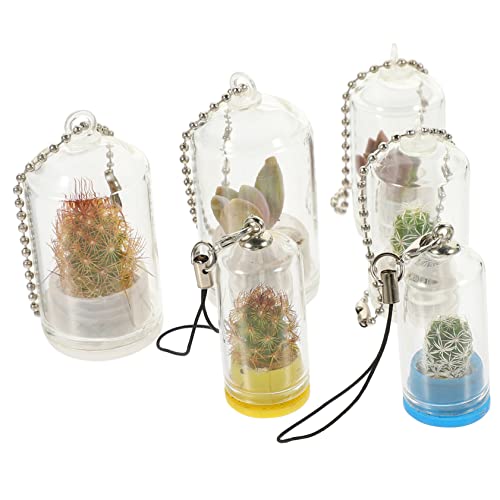 FUNOMOCYA 6St Schlüsselanhänger Gracy microanlagen schlüsselkette hydroponic vase pflanzplane Luftpflanze Hängender Blumentopf Golddekor Miniatur-Vase-Anhänger Vermehrungsvase Glas von FUNOMOCYA