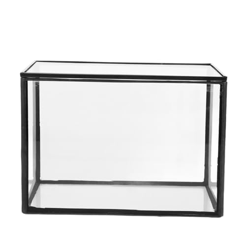 FUNOMOCYA Mikrolandschaftsgewächshaus Wohnzimmer Dekoration aufbewahrungsbehälter Pflanzen Terrarium terrarienpflanzen Pflanzenbehälter glasgefäß einfaches Glasterrarium Landschaftsbehälter von FUNOMOCYA