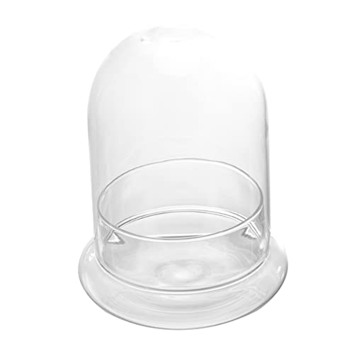 FUNOMOCYA Moosglas Selber Machen Pflanzenglockenkuppel Landschaft Flasche Pflanzenkuppel Container Laterne Flasche Mit Mikrolandschaft Miniatur Klare Mikrolandschaftsflasche Borosilikatglas von FUNOMOCYA