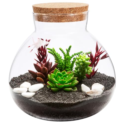 FUNOMOCYA Ökologische Mikrolandschaftsflasche Luftpflanzen Terrarium Zylindervasen Hydrokultur-pflanzenhalter Tischbonsaischale Terrarium-kit Flasche Moospflanze Blumenbehälter Bokal Glas von FUNOMOCYA