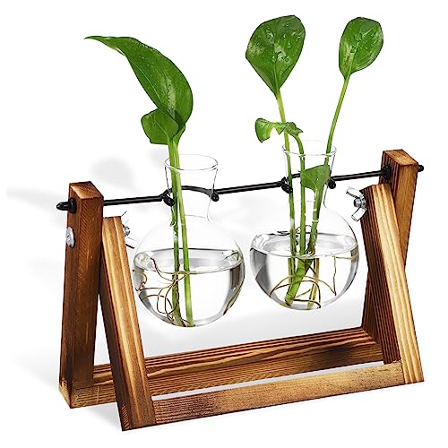 FUNOMOCYA Ornamente Vermehrung von hängenden Pflanzen klare Vasen Pflanzenterrarium Glasvasen Schreibtisch Dekoration blumenbank Blumenvase Tischterrarium hängende Vermehrungsstation Holz von FUNOMOCYA