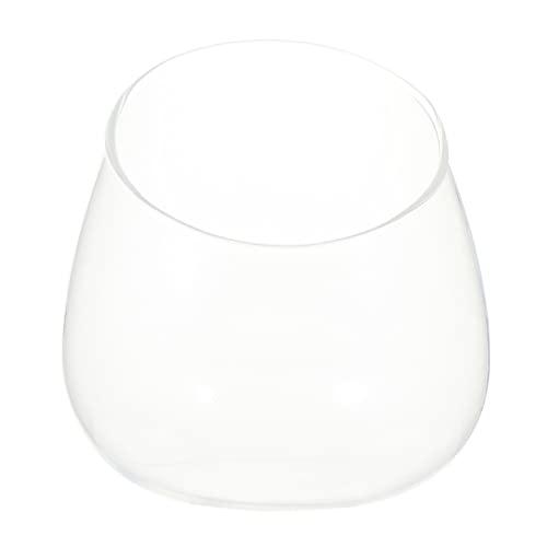 FUNOMOCYA schräge Glasflasche Vasen Zierbehälter Pflanzentöpfe Terrarium Luft sukulentenpflanzen künstlich Dekoration Schlafzimmer Links saftiger Pflanzentopf Blumenkübel aus Glas von FUNOMOCYA