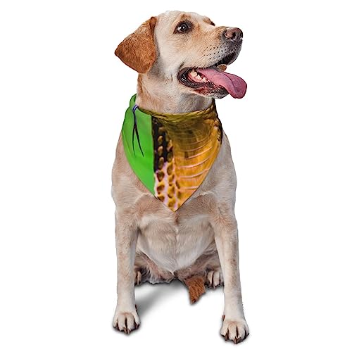 Cobra Schlange Hund Bandana Niedlich Weich Waschbar Hund Schal Sommer Verstellbare Katze Halstuch Lätzchen Haustier Dreieckstuch von FURLOU