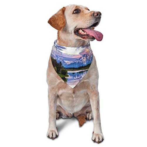 Grand Teton National Park Hund Bandana Niedlich Weich Waschbar Hund Schal Sommer Verstellbare Katze Halstuch Lätzchen Haustier Dreieckstuch von FURLOU