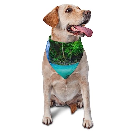 Jungle Tropic Plants Trees Dog Bandana Cute Soft Washable Dog Scarf Summer Adjustable Cat Halstuch-Lätzchen Pet Dreieckstuch von FURLOU