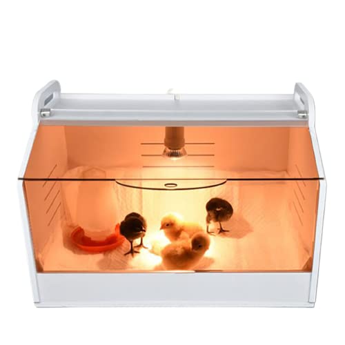 Küken Aufzucht Box Wärme Lampe Brut Heim Aufzucht Reptilien Geflügel Inkubator,Wärmeplatte Reptilien Geflügel 15W von FUROMG