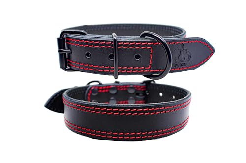 FURRO® Halsband aus Leder - Bold Classic, Breites Lederhalsband, Roten Doppelnähten, Hochwertiges Echtleder, Für Kleine, Mittlere und Große Hunde (Halsumfang 44–56 cm) von FURRO