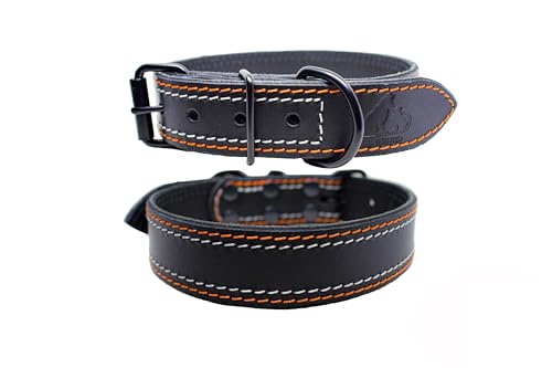 FURRO® Halsband aus Leder - Modern Edge, Breites Lederhalsband, Orange-Weißen Nähten, Hochwertiges Echtleder, Für Kleine, Mittlere und Große Hunde (44–56 cm Halsumfang) von FURRO