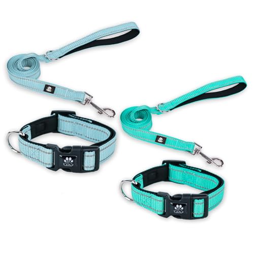 FURRYFECTION Hundehalsbänder und Leine, Set für Hunde, reflektierend, mit Schnalle, verstellbar, gepolstert, Nylon, für kleine, mittelgroße und große Hunde (XS Halsband + 1,5 m Leine, Blau + Blaugrün) von FURRYFECTION