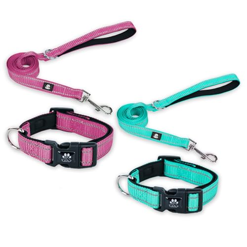 FURRYFECTION Hundehalsbänder und Leine, Set für Hunde, reflektierend, mit Schnalle, verstellbar, gepolstert, Nylon, für kleine, mittelgroße und große Hunde (kleines Halsband + 1,5 m Leine, Blaugrün + von FURRYFECTION